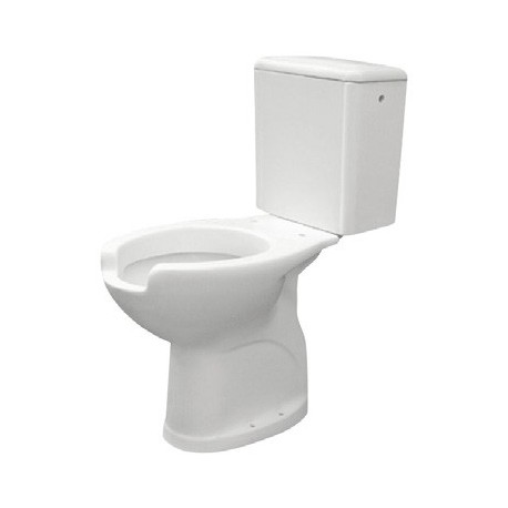 Inodoro ergonómico monoblock para discapacitados de porcelana blanca